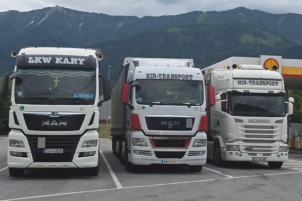 Camion Flotă 10